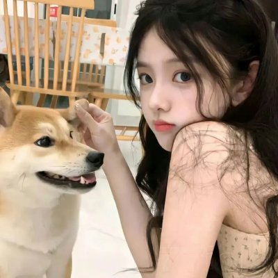 奶牛阴谋